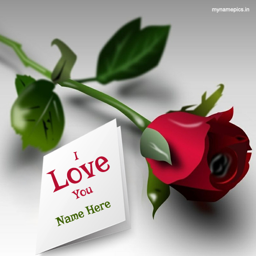 Write lover name on I love you rose profile pics