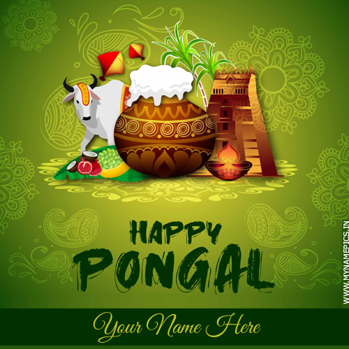 Pongal Festival Celebration Status Image With Your Name
