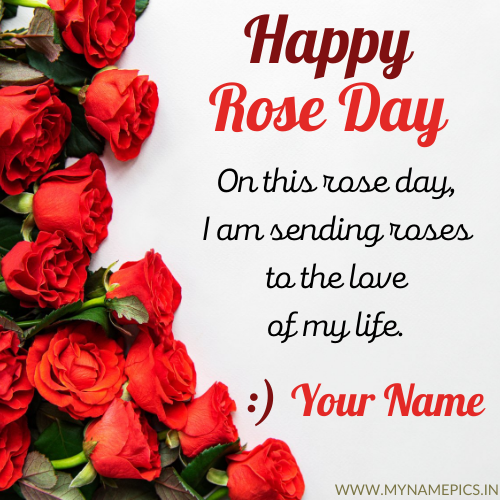 Romantic Rose Day Wishes Love Propose Status With Name