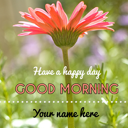 Good morning wishes flower greeting picture 