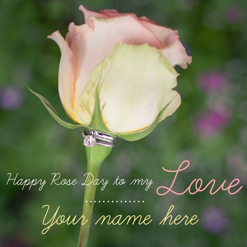 Valentines Day Wishes Special Rose Day Pics With Name